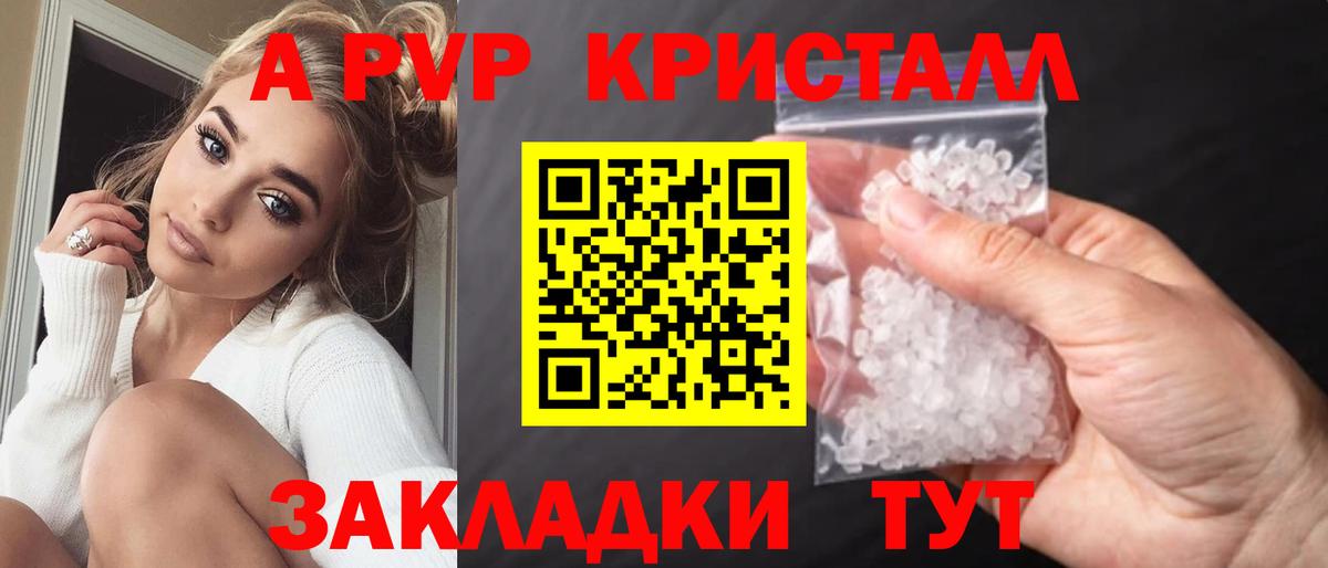 A PVP СК КРИС Волхов