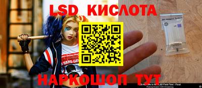 индика Кандалакша