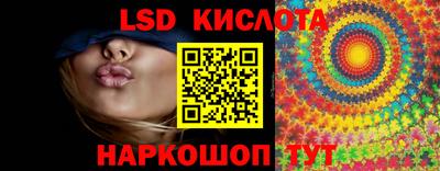 индика Кандалакша