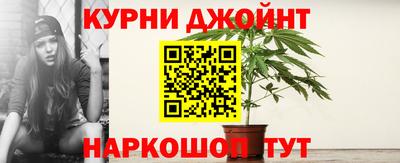 индика Кандалакша