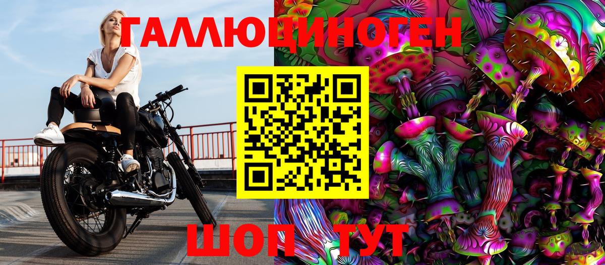 Галлюциногенные грибы прущие грибы Волхов