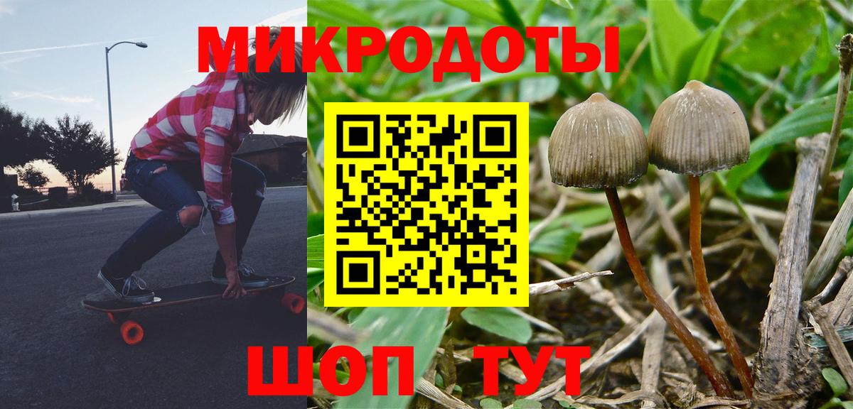 Меф  Масло ТГК  Вход с VPN  Круглые  Волхов  Кокаин  A-PVP  Конопля  ГАШ 